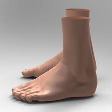 3d Human Male Feet Human Male 3d Human Male Feet