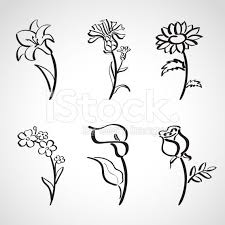 Ink Style Hand Drawn Sketch Set Summer Flowers Lily Flower Tattoos Flower Drawing Lily Flower