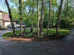 Check out 75+ stunning backyard landscaping ideas 2021 to get inspired to make your backyard even better. Wooded Lot Landscaping Ideas Houzz