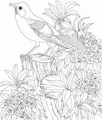 Barbie à colorier, peinture, cheval, chien, dinosaure, disney, fortnite, harry potter, kawaii et bien d'autres. Coloriage Magique Difficile 4eme