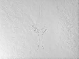 Animationsfilm von dean deblois and chris sanders (2010). Baum Zeichnen Lernen Komplette Anleitung Fur Einsteiger