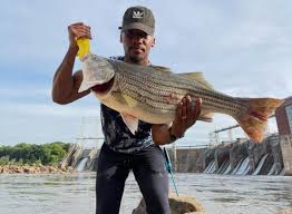 Beginning of the season for the West Coast stripers bite! All