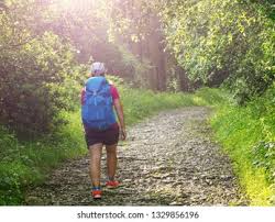 Imágenes fondos de descarga gratuita. Santiago Wanderers Logo Vector Eps Free Download