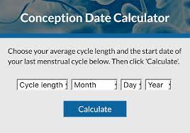 When Did I Conceive? | Lovetoknow