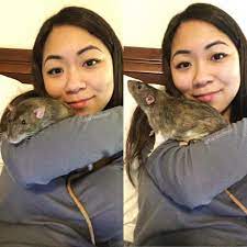 this big boy ran under my backyard deck and refused to come out for 3 days  and made me cry like 10 times because i thought he was dead : rRATS