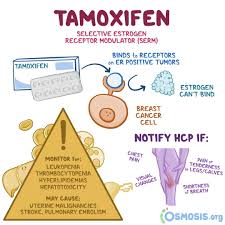 Image result for Selective Estrogen Receptor Modulator