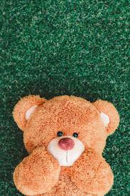 Download free hd wallpapers tagged with bear from baltana.com in various sizes and resolutions. Cute Teddy By Kidsada Manchinda Teddy Bear Wallpaper Teddy Bear Pictures Teddy Bear Images