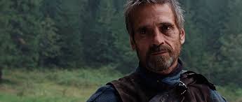 I feel like the only two characters that were cast ideally in the Eragon  film were Brom and Murtagh. They fit their parts well.