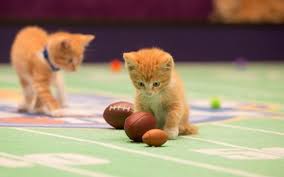 The soccer player formation process consists of three phases: Boomer Esiason Named Commissioner Of Football League For Cats Cbssports Com