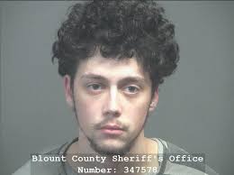 TAUBE, NICOLAS GEOFFREY Charges: IDENTITY THEFT ILL POSS/ FRAUD USE OF  CREDIT/DEBIT CARD This information and more is available  https://apps.myocv.com/share/a95737804