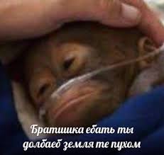 images?q=tbn:ANd9GcSttaSLEANQk0_PdJJG8di