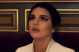 The Arrogant Architect by L.K. Collins