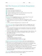 Glycolysis, krebs cycle, electron transport chain. 9 2 Worksheet Name Class Date 9 2 The Process Of Cellular Respiration Lesson Objectives Describe What Happens During Glycolysis Describe What Happens Course Hero