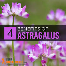 Apart from their slightly sour or salty taste purslane is a good source of nutrients, vitamins and minerals. Purslane Portulaca Oleracea Benefits Dosage Bulksupplements Com