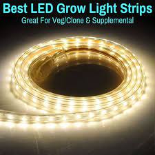 Mar 22, 2021 · when you use led grow lights, you get to select the precise spectrum that you need to supplement outdoor lighting or other lighting such as hps. Led Grow Light Strips Best For Veg Clone Supplemental Grow Light Info Led Grow Lights Grow Lights For Plants Best Led Grow Lights