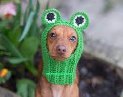 The Frog Dog Hat Dog Snood Dog Fashion Dachund Sausage Dog Wiener Dog Doxie Pug Hat Frenchie Bulldog Dog Snood Dog Sweaters Dog Hat