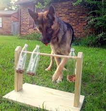 Check spelling or type a new query. Diy Dog Puzzles Impact Dog Crates