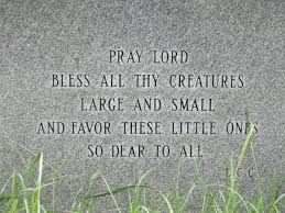 Commemorate your beloved pet with dog memorial tombstones, nameplates, and urns. Free Images Dog Animal Cat Soil Cemetery Font Pets Grave Memorial Graveyard Text Headstone Prayer Bury 4000x3000 691037 Free Stock Photos Pxhere
