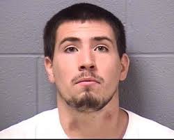 New Will County Jail Blotter: July 26 Edition