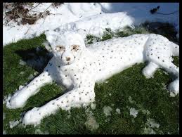 523 Origin Is Unreachable Albino Animals Dinosaur Stuffed Animal Albino