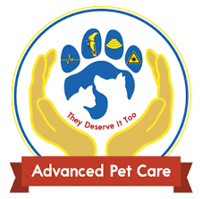 Vet care pet clinic's veterinary hospital offers complete care for your dog or cat. Veterinary Hospital In San Bernardino Ca 92408 Advanced Pet Care