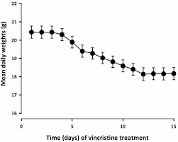 Image result for Maerua aethiopica