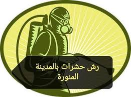 شركة رش حشرات بالمدينة المنورة مكافحة حشرات بالمدينة المنورة شركة مكافحة حشرات بالمدينة المنورة Stuff To Buy