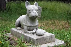 But that can scare away guests. Is It Legal To Bury My Dog In The Backyard Tailored Pet Services Llc