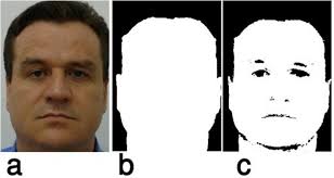 Face detection stage gradually a: input image b: extracted skin region...
