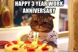 Nov 23, 2016 · these work anniversary wishes are written for awesome person who loves her or his work and keeps on working hard, every single day. 46 Grumpy Cat Approved Work Anniversary Memes Quotes Gifs