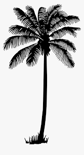Maybe you would like to learn more about one of these? Palm Tree Vector Png Transparent Png Kindpng