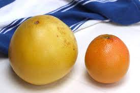 Pummelos (also spelled pomelos) are originally from asia where they are very popular; Pomelo Fruit And How To Eat Pomelo Tipbuzz