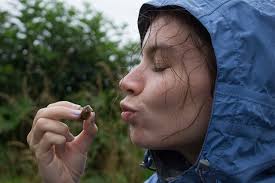 Annie Hinks Photography