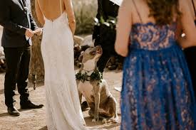 Temitope balogun joshua, famously known as prophet t. Janice And Austin S Pioneertown Wedding