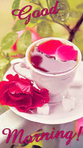 What are some really romantic dates? Good Morning Flowers Gifs Get The Best Gif On Giphy