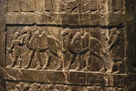 Wall drawings of life and hunting of ancient people and animals. The Date Of Camel Domestication In The Ancient Near East Associates For Biblical Research