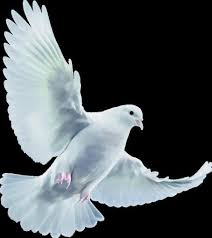 A Celebration of Life for Marguerite Worsley by GBN News