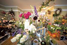200 dorset st, south burlington, vt 05403. Seven Daysies Awards Best Florist 2019