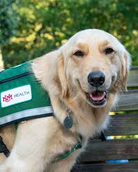 Christine Heinemeyer