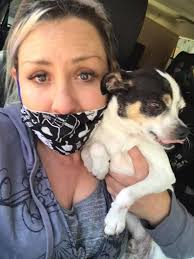 COVID-19: Family pay $10k to get stranded pet dog back to Australia