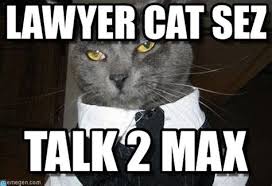 20 lawyer cat memes ranked in order of popularity and relevancy. Lawyer Cat Memes
