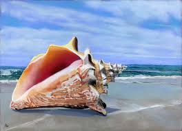 It is in the collection of the metropolitan museum of art. Conch Shell Pastel Sold Ria Hills