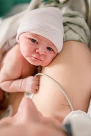 Liza White Birth Services