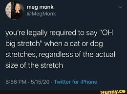 You Re Legally Required To Say Oh Big Stretch When A Cat Or Dog Stretches Regardless Of The Actual Size Of The Stretch 8 56 Pm Twitter For Iphone