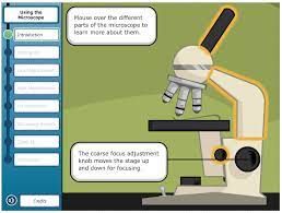 This lab uses two different sizes of dialysis tubing to represent cellular and organelle membranes. Secondary Science Virtual Labs Welcome To Science Lessons That Rock
