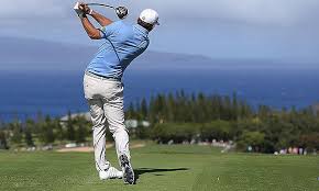Image result for dustin johnson swing