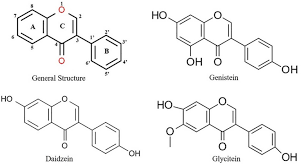 Montana yao (model) was born on the 5th of august, 1997. Frontiers Metabolic Engineering Of Isoflavones An Updated Overview Plant Science