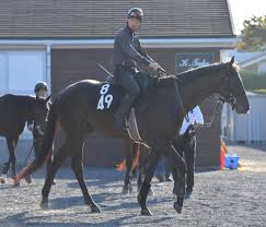 ｐｏｇ ネクサスハート乗り込み十分 キタサンブラック全弟 競馬ニュース Netkeiba Com