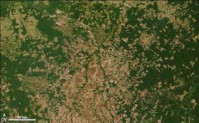 La Deforestation En Amazonie Vue De L Espace