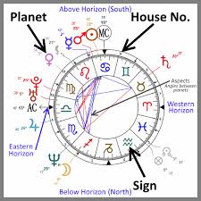 23 Prototypic Chinese Natal Birth Chart